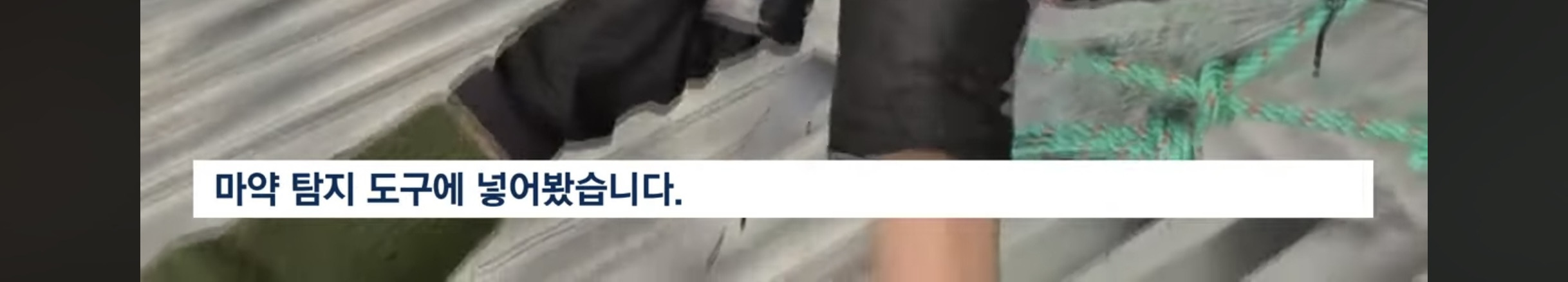 대한민국으로 잘못 들어갔어.. 수상한 컨테이너 열어보니 | 인스티즈
