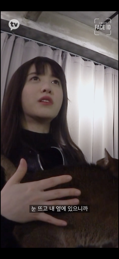 [페이스아이디] 순대가 하늘에서 구름밟고 떨어졌으면 좋겠어 다시 키우게 .. (별이 된 구혜선 반려견) | 인스티즈