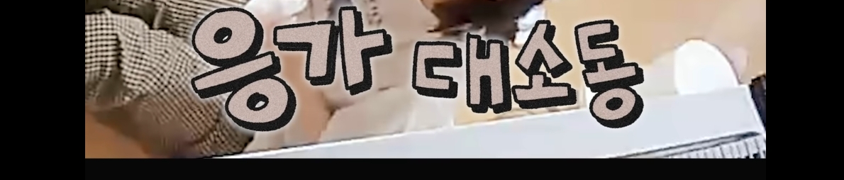 cctv보고 오열😭 응가실수하고 혼자 치우려는 고양이 | 인스티즈