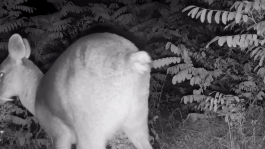 5568dbbf82826c95933dc2a3ad229fd65540364f