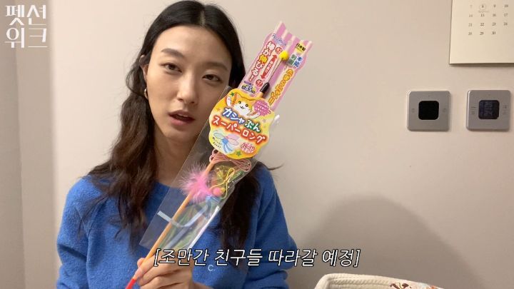집사들 고양이 장난감 왤케 많이 사는거야 | 인스티즈