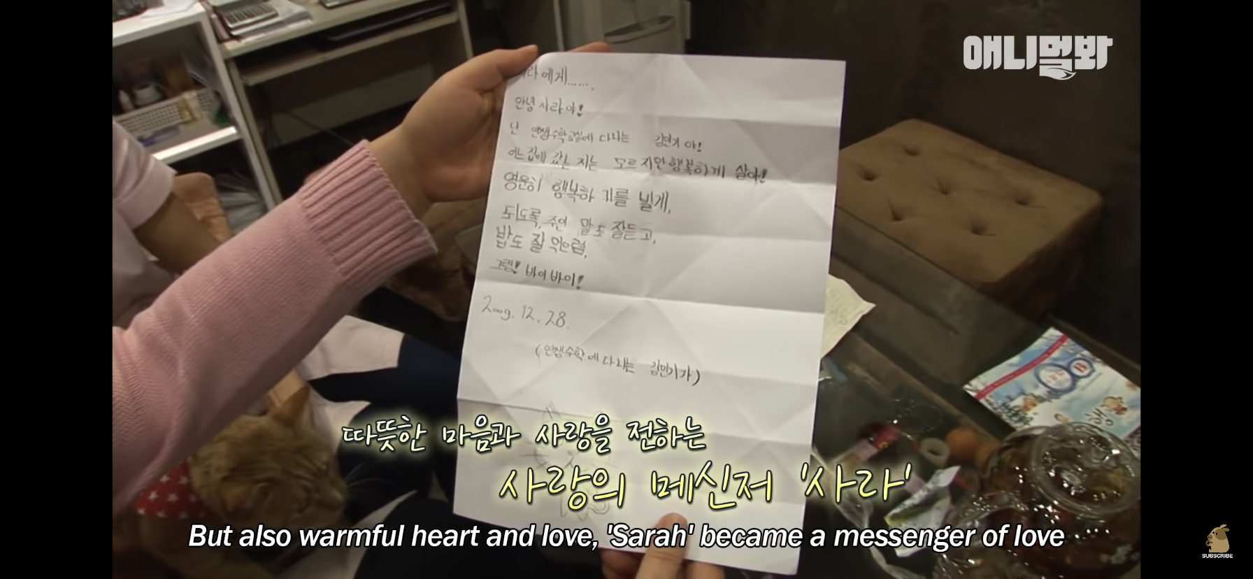 길고양이 목에 쪽지를 달자 생긴 영화같은 일 | 인스티즈