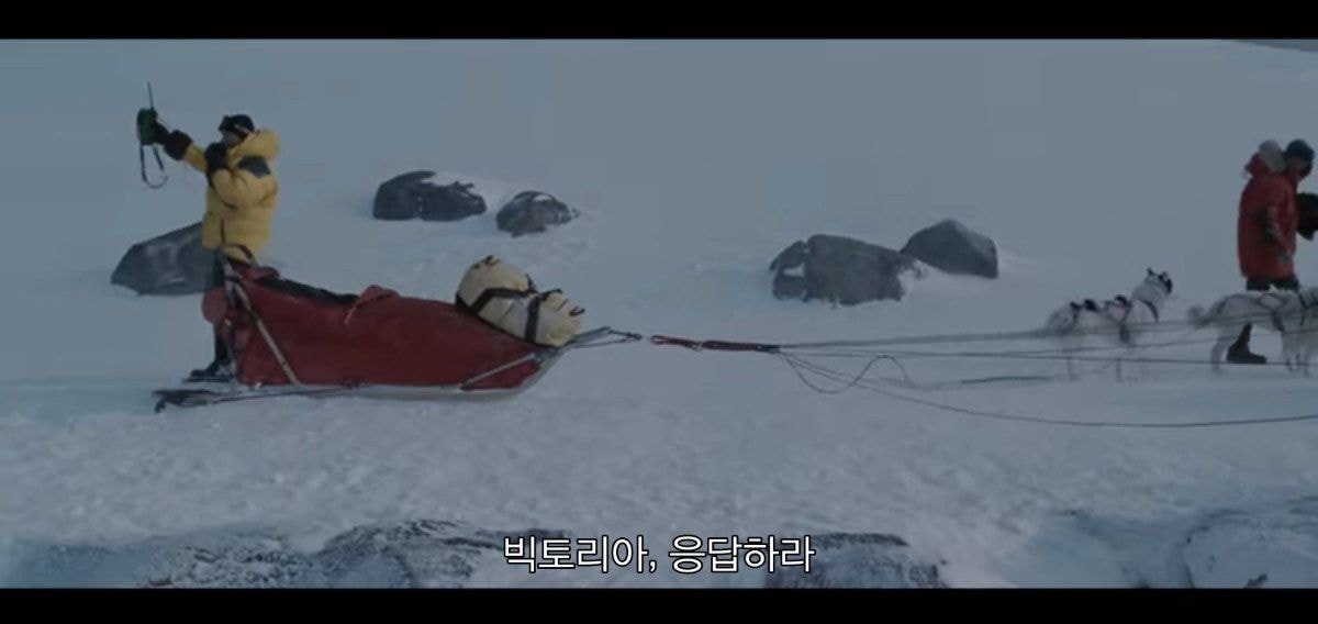같이 남극 탐험하는 사람이 금방 돌아 온댔는데 폭풍으로 못온대 | 인스티즈