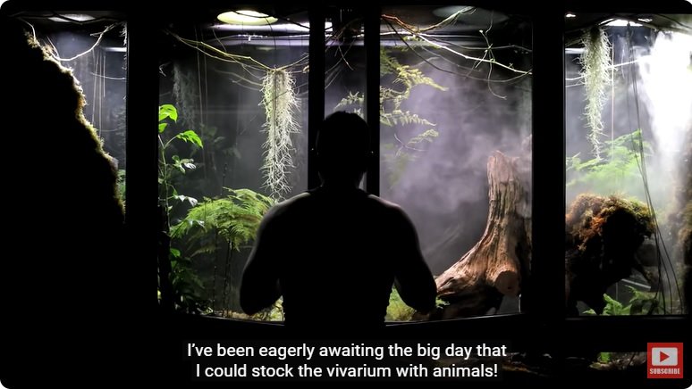 거대한 수조에 열대우림 환경을 조성해놓으면 생기는 일 - 2 | 인스티즈