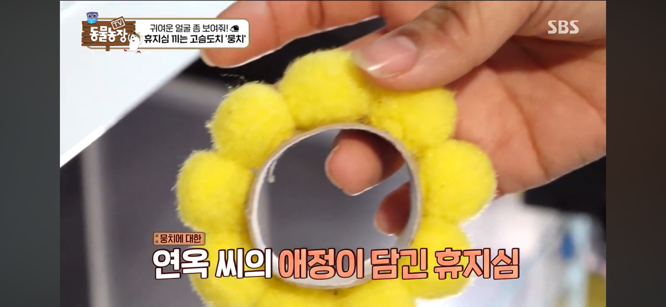 따봉고슴도치 휴지심 좋아도치 | 인스티즈