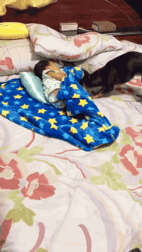 아기 이불 덮어주는 댕댕이ㅠㅠㅠㅜㅠㅠㅠ.gif | 인스티즈