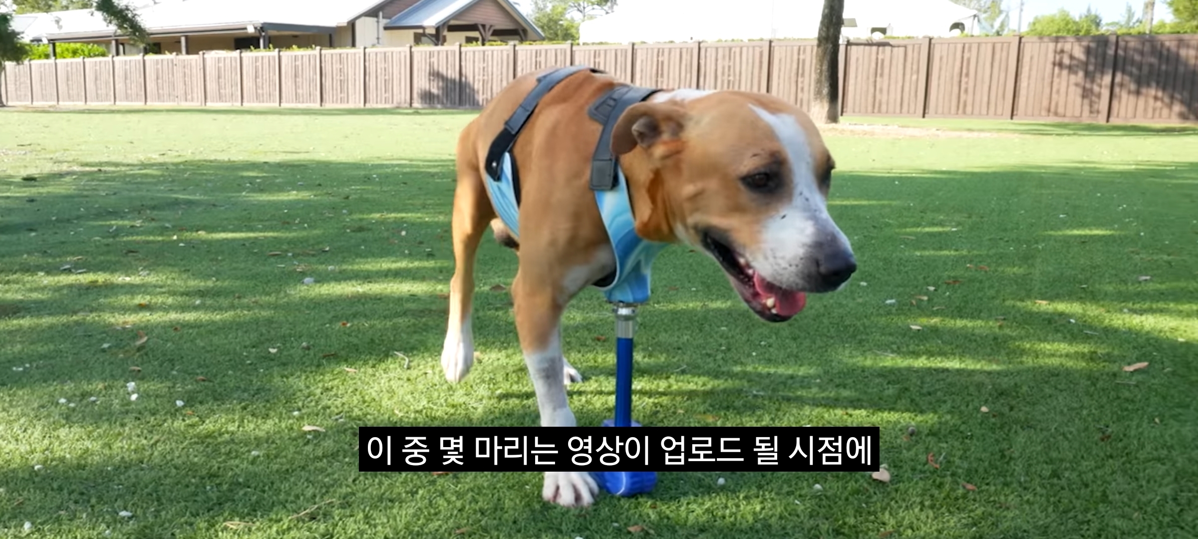 전세계 유튜브 1위 미스터 비스트 신규 컨텐츠 .jpg | 인스티즈