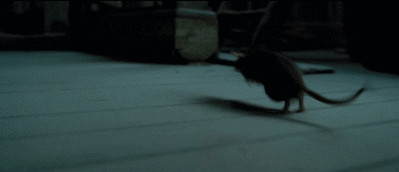 55d6f013b9b3abdb293741fb7ddce9a27baa4f28