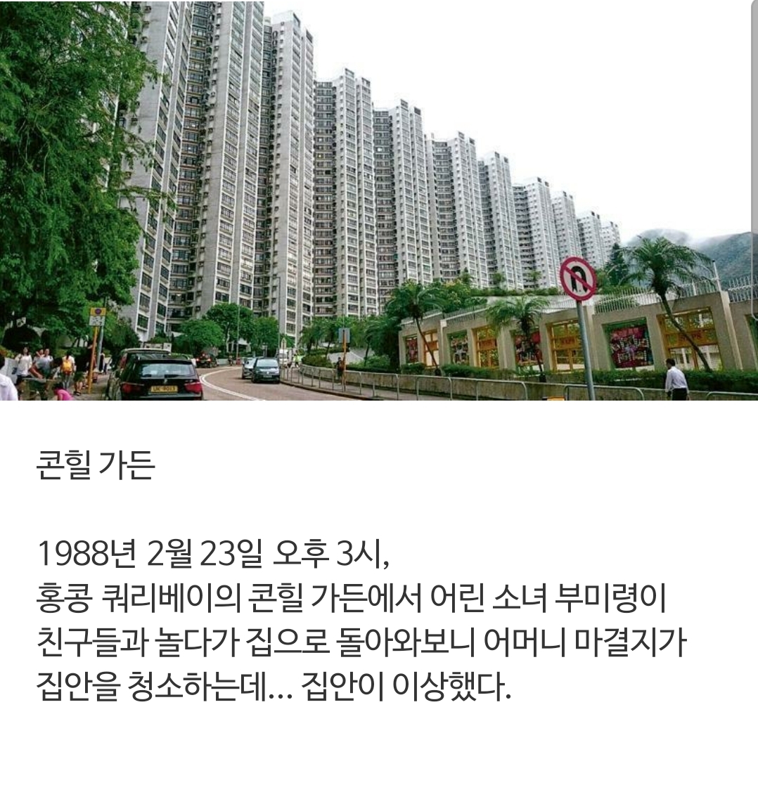 콘힐 남편 토막 살인사건 | 인스티즈