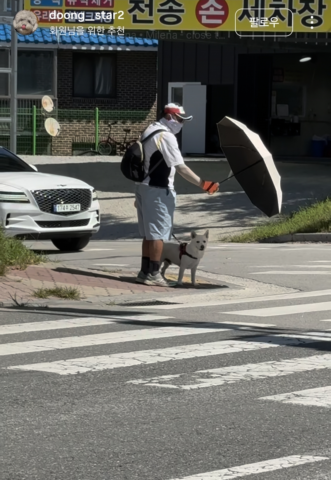 너무 스윗한 할아버지와 사랑받고 사는 강아지 | 인스티즈