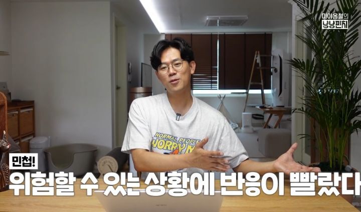 고양이 벽짚 챌린지는 진짜 지능과 관련 있을까? | 인스티즈