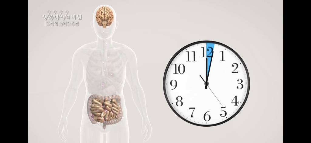 561d2e313e9b6be019a8dda73db8f8cdbbca6f59