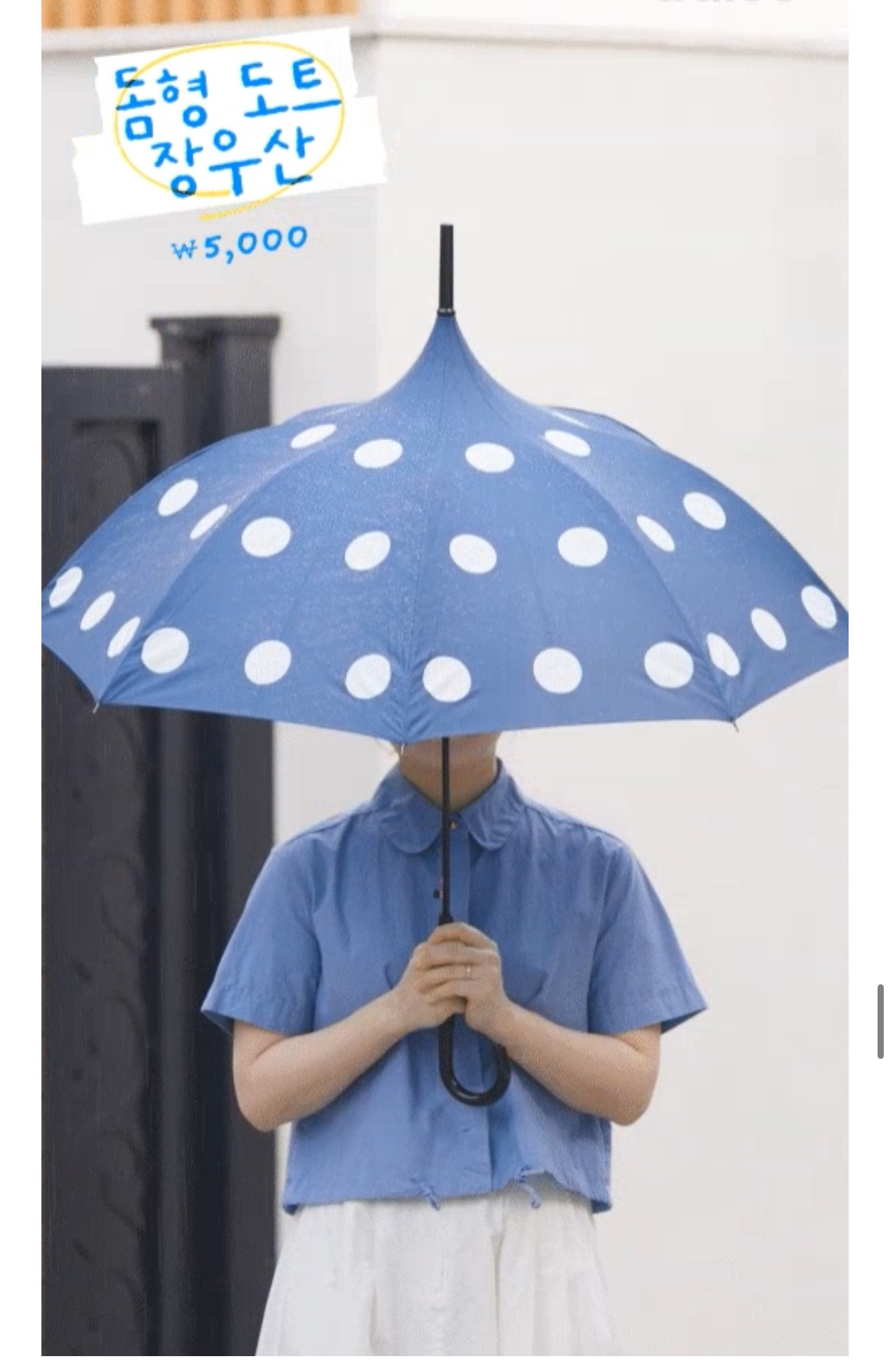 다이소 장마 대비템 출시 | 인스티즈