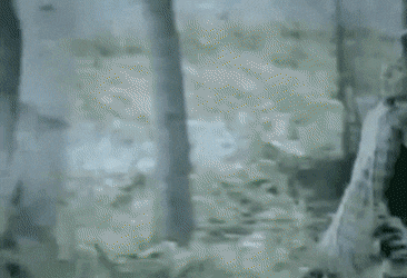 노래가 어려워서 여러 가수들한테 갔지만 결국 보아가 히트 시킨 곡 | 인스티즈