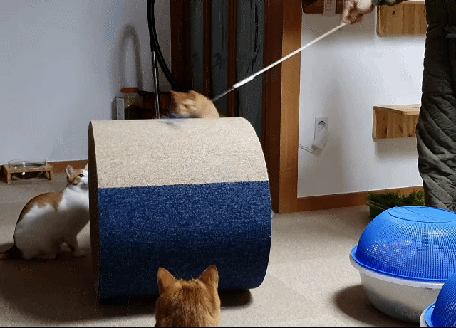 5635eb2d3724efc33d53148acf09d5a94f3abaa8