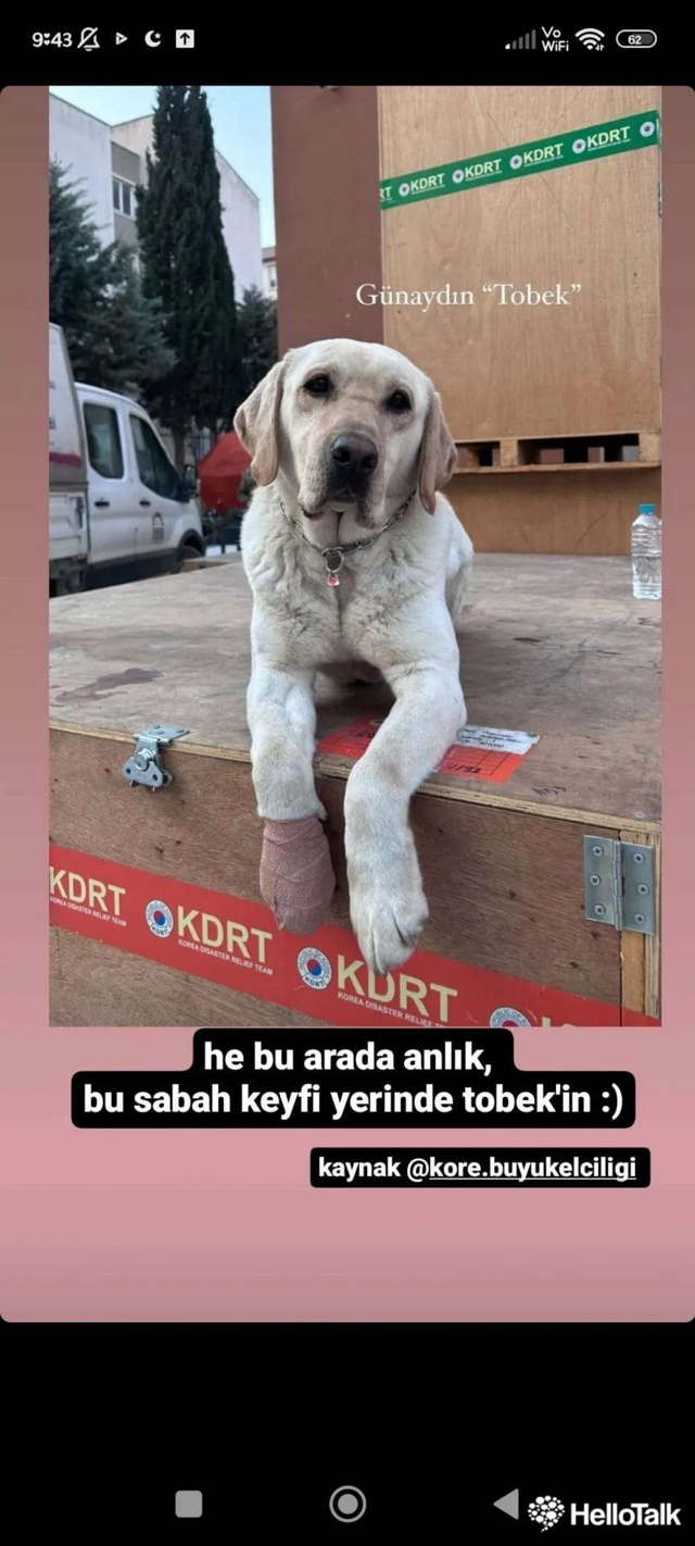 튀르키예 방송에 나온 한국구조대와 반응 | 인스티즈