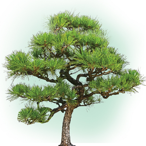 56498ecfa6dd5847fadd69d8b04fefa8dfc907cc