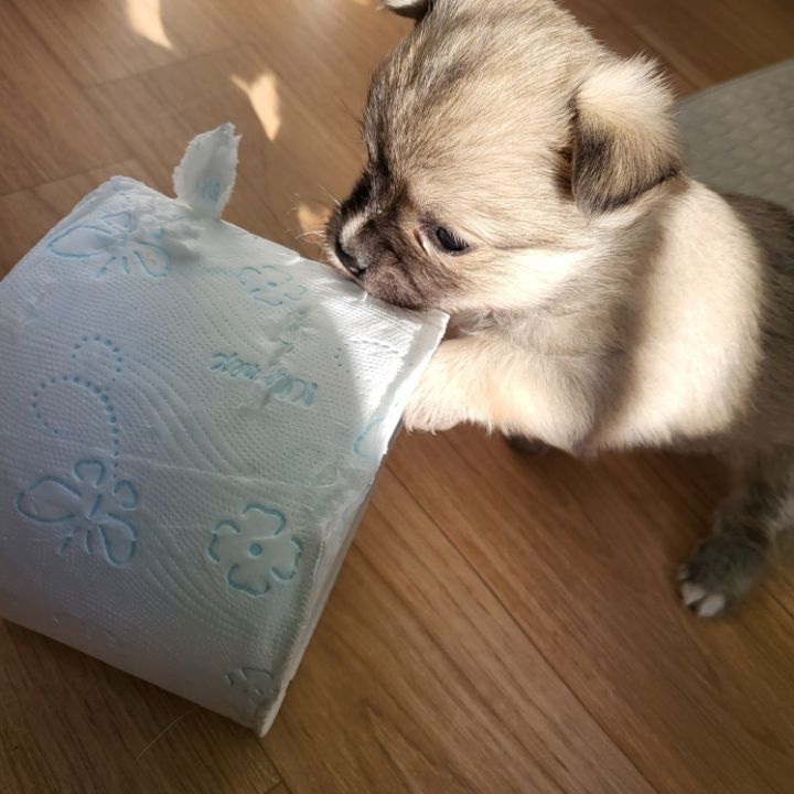 (공지라니... ++추가)새로생긴 회사 복지.. 미쳐서 도저히 일을 못하겠네.. (추가....)++추가 | 인스티즈