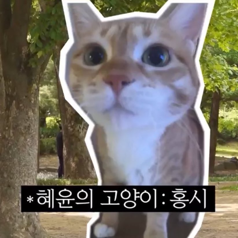 요즘 김혜윤 일상을 사로잡고 있다는 존재 | 인스티즈