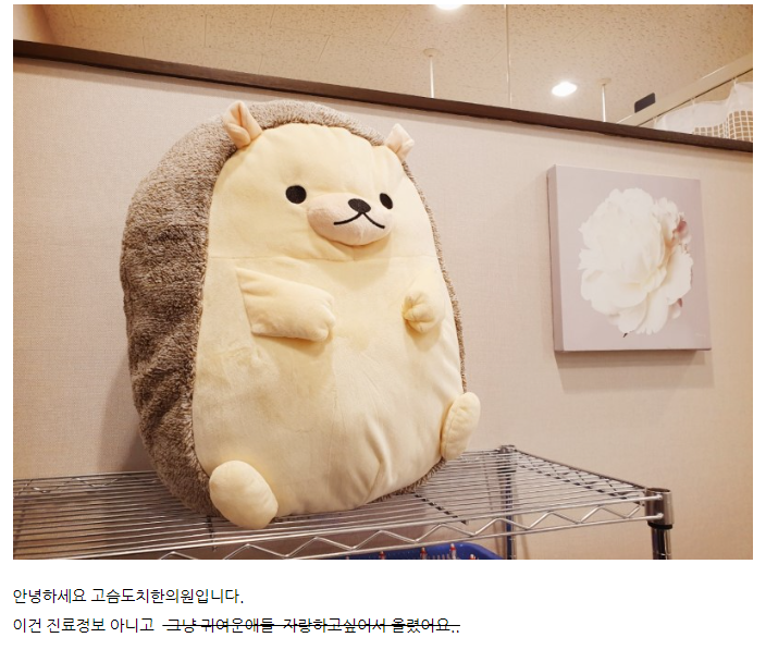 한국에서 제일 귀여운 한의원 | 인스티즈