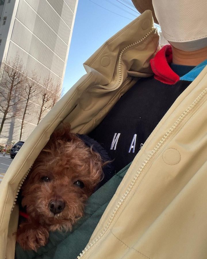 이학주네 강아지 | 인스티즈