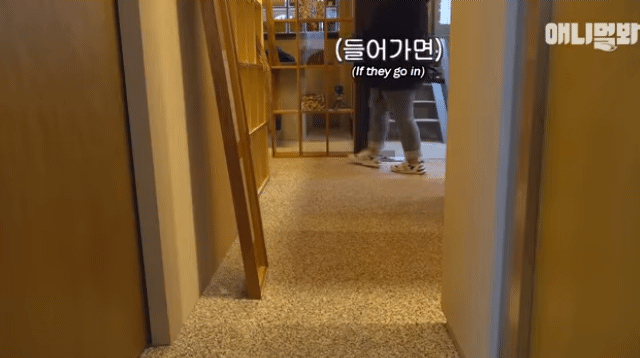 수줍음이 많은 강아지가 사람을 좋아하는 법 | 인스티즈