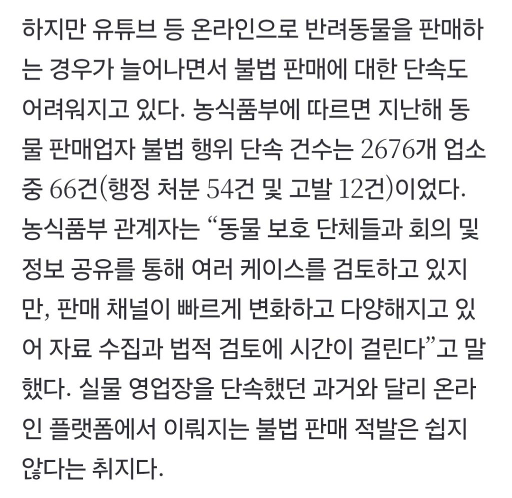 "요 아이, 태어난지 두달" 강아지 홈쇼핑?…제재 왜 못하나 | 인스티즈