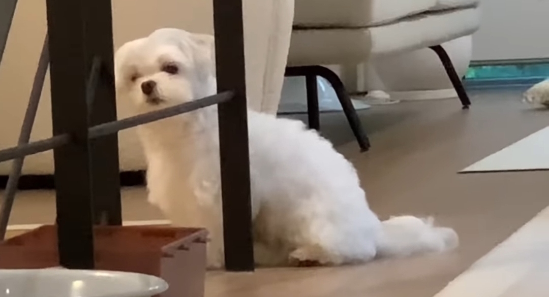 새로 이사온 주택에 물이 새요.jpg | 인스티즈