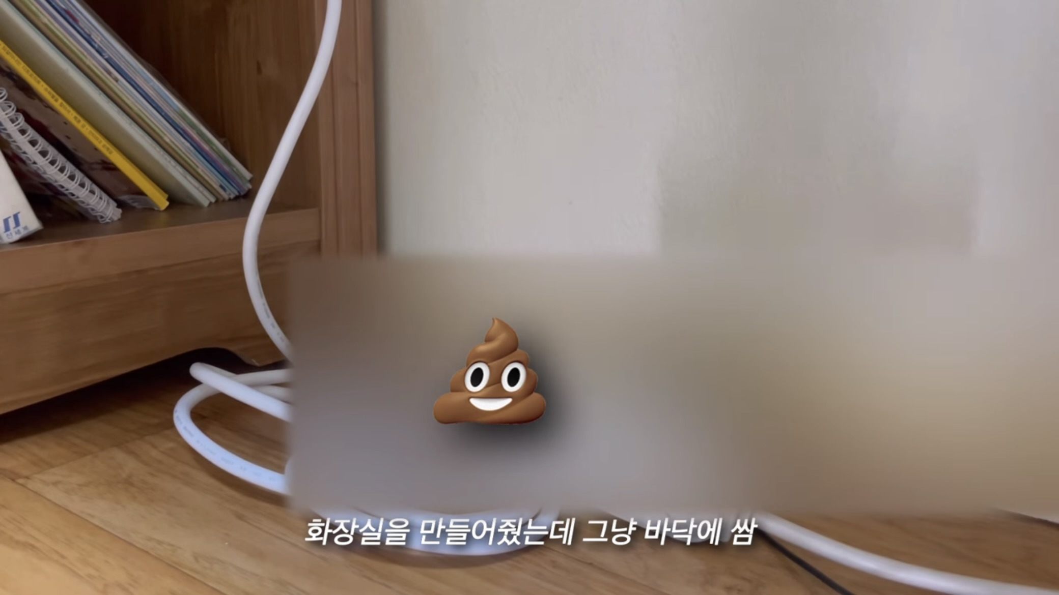 언니가 다리다친 아기고양이를 주워왔다 | 인스티즈