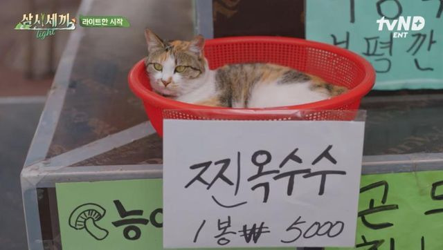 어떤애가 19살 연상 만난다니까 | 인스티즈