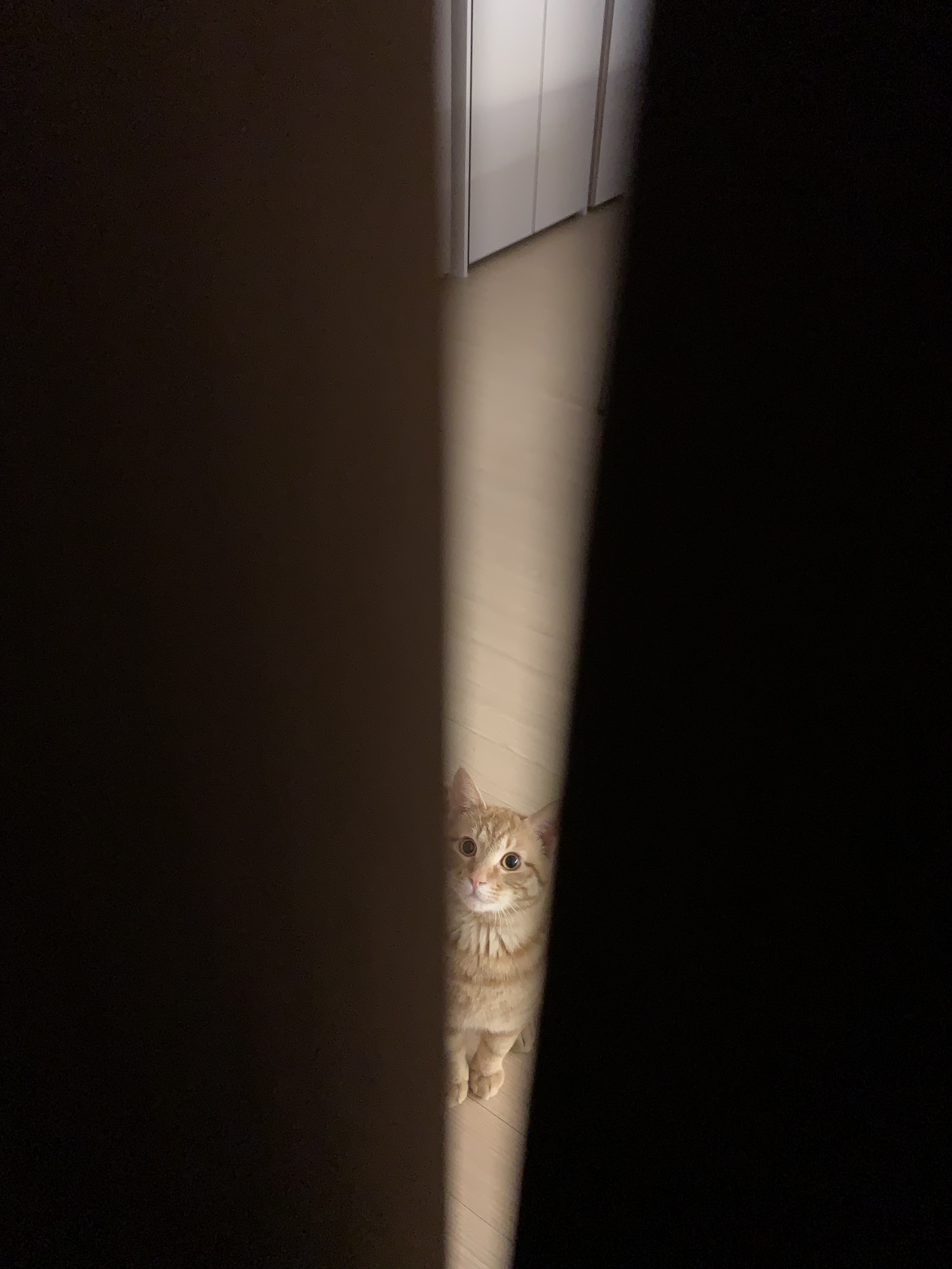 우리애기 어뜩하지;; | 인스티즈