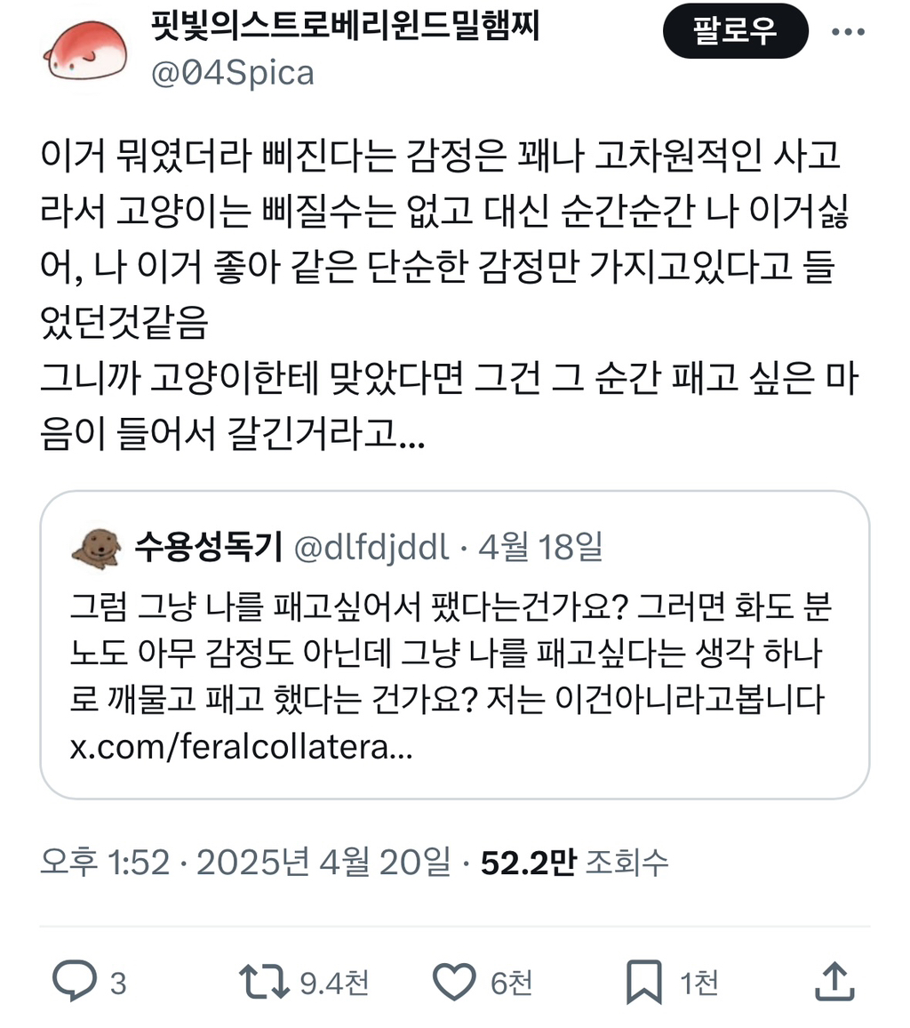 고양이한테 맞았다면 그건 그 순간 패고싶은 마음이 들어서 갈긴 거라고 | 인스티즈