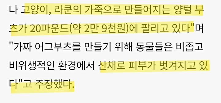 일부 사람들이 어그부츠 안 신는 이유 | 인스티즈