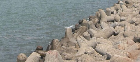 공포증 딱히 없는 내가 느끼는 이름 모를 공포 | 인스티즈