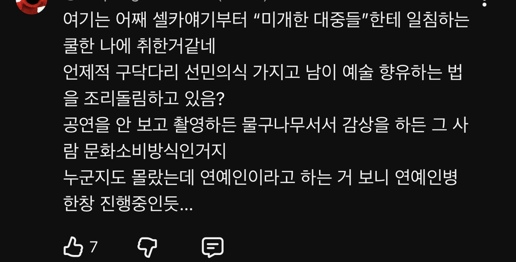 관객들이 콘서트가서 영상 찍는게 모순이라는 연예인.jpg | 인스티즈