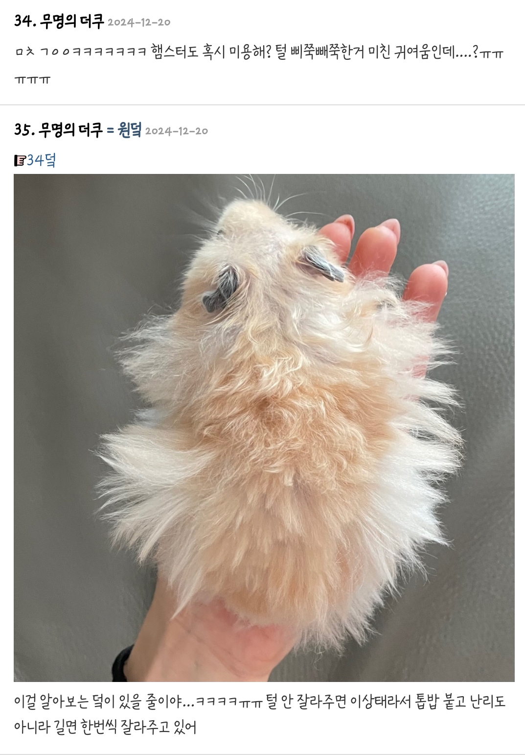 우리집 햄서터 골 때려 | 인스티즈