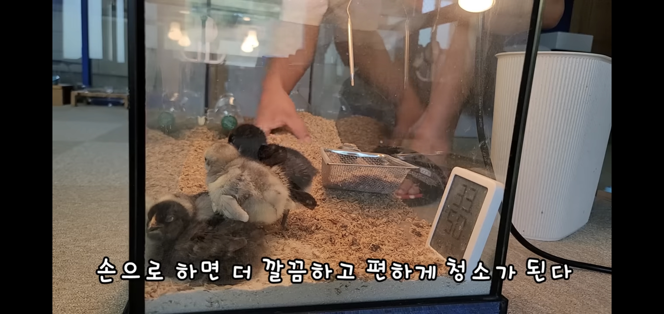 오늘자 폭력적이고 불쌍한 영상 올린 유튜버 매탈남.jpg | 인스티즈