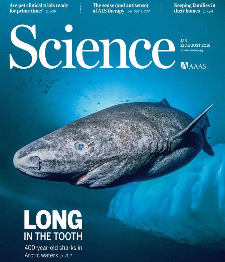 🦈 태어나고 무려 150년 지나서야 첫 짝짓기 하는 동물 | 인스티즈