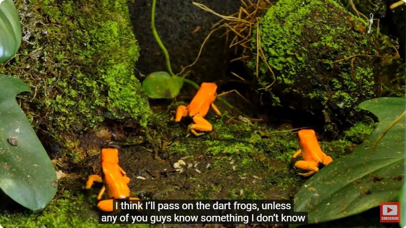 거대한 수조에 열대우림 환경을 조성해놓으면 생기는 일 - 4 | 인스티즈