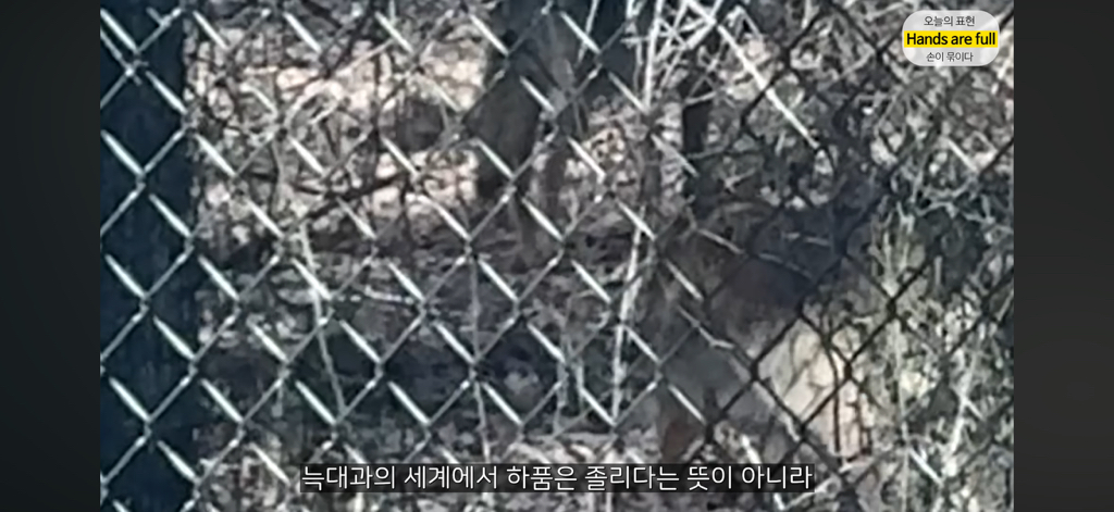 진짜 명견 같은 올리버쌤네 왕자 | 인스티즈