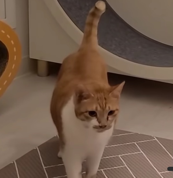 자기 아들 주려고 남의 딸 노는 거 뺏는 엄마;; | 인스티즈