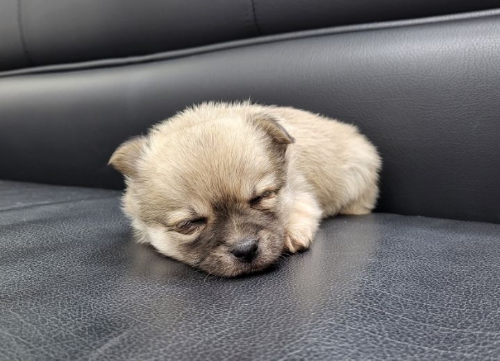 (공지라니... ++추가)새로생긴 회사 복지.. 미쳐서 도저히 일을 못하겠네.. (추가....)++추가 | 인스티즈