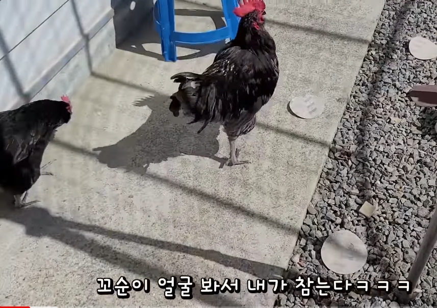 매맞는 삶을 살고있는 매탈남 근황 | 인스티즈