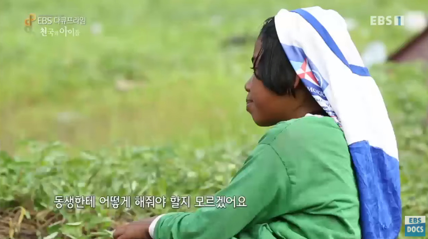 자극적 영상이 많아진 요즘, 안보면 후회하는 글 | 인스티즈