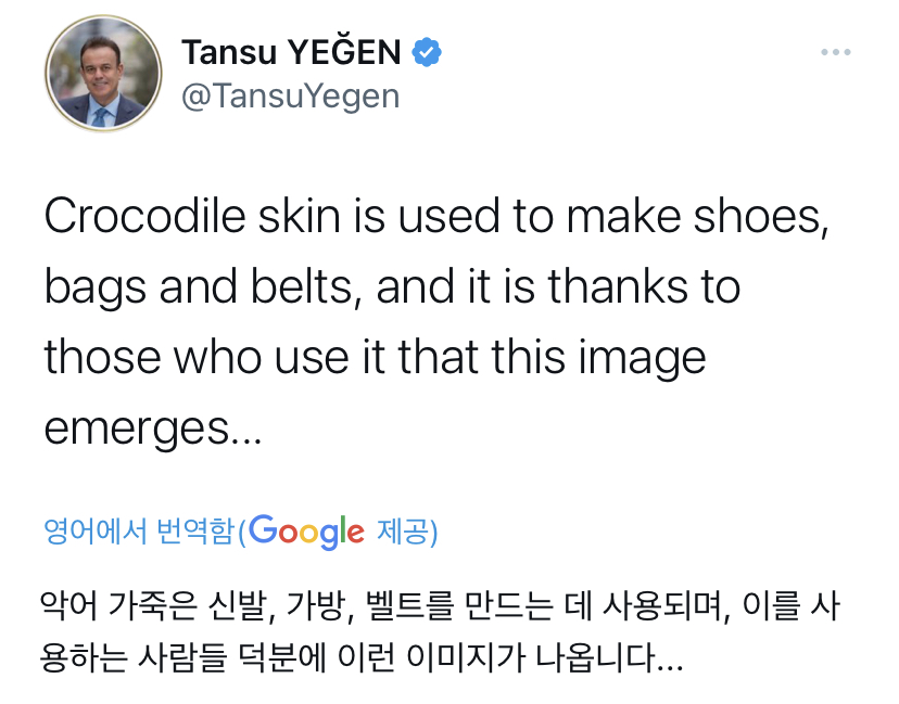 악어가죽 가방 때문에 | 인스티즈