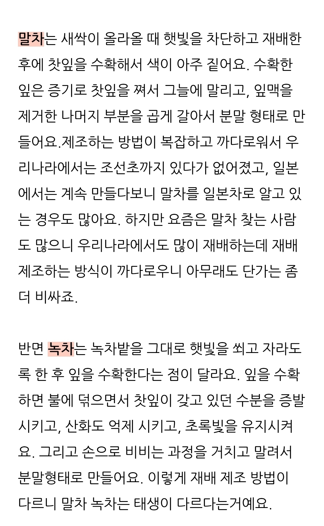 말차와 녹차의 차이 | 인스티즈