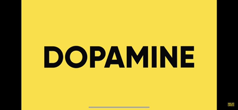 여시들 도파민 디톡스 라는 거 들어봤어?(추천글) | 인스티즈