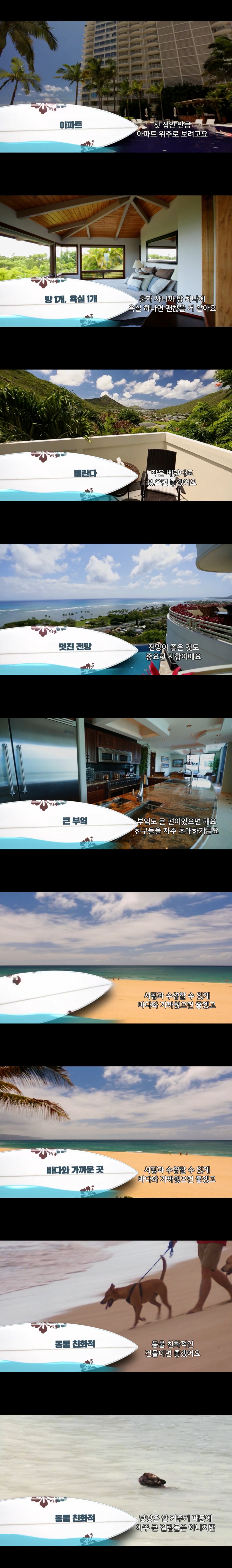 싱글여성의 하와이에서 집 구하기 | 인스티즈