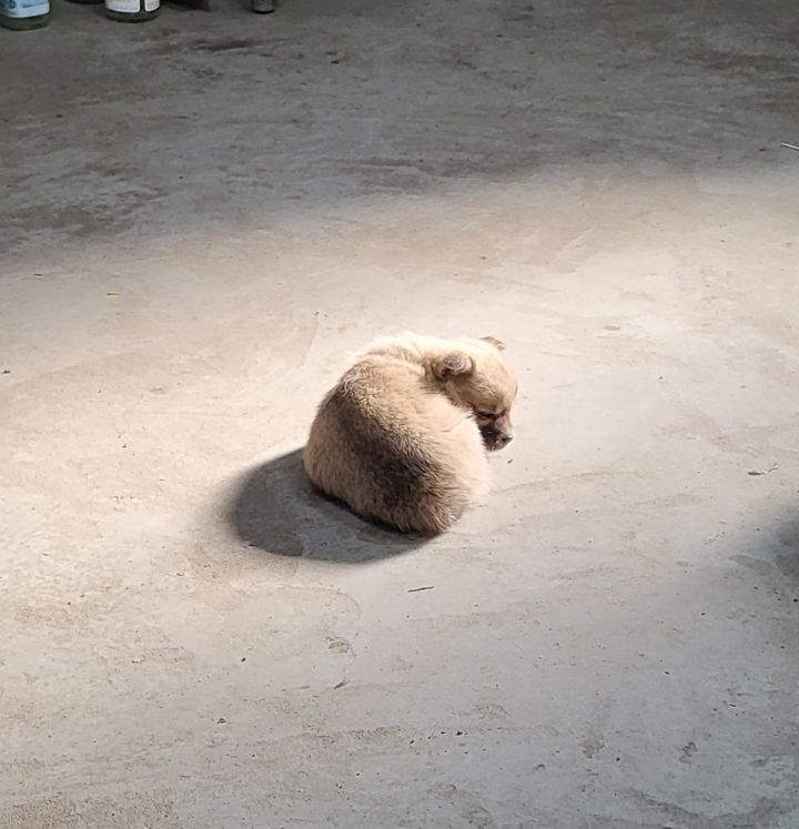 (공지라니... ++추가)새로생긴 회사 복지.. 미쳐서 도저히 일을 못하겠네.. (추가....)++추가 | 인스티즈