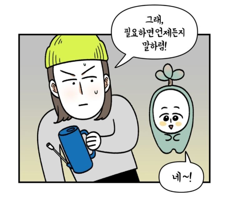 다육이 키우는 초보자들이 제일 많이 하는 실수 | 인스티즈